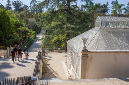 Téléchargez les photos : Visiteur proche de Serre Tropicale du Jardin Botanique de l'Université de Coimbra, Portugal - en image libre de droit