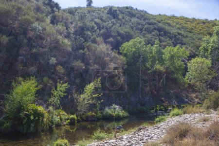 Téléchargez les photos : Cours d'eau de l'Arrago près de Perales del Puerto, Sierra de Gata, Caceres, Estrémadure, Espagne - en image libre de droit