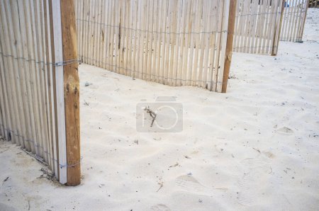 Téléchargez les photos : Barrière de sable placée pour protéger les écosystèmes côtiers. Vue à angle bas - en image libre de droit