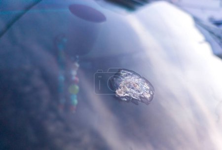 Foto de Ojo de toro agrietado en medio del coche parabrisas. Daños causados por grava - Imagen libre de derechos