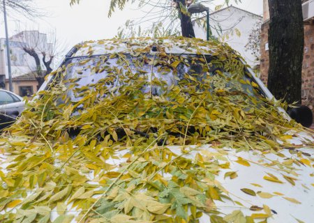 Vehicle full of dry leaves and branches over windshield and hood. Rainy and windy autumn days 