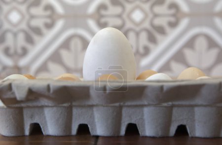 Free-range big goose egg between chicken ones. Display on cardboard package 