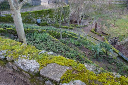 Téléchargez les photos : P. de Acim, Espagne - 21 Jan, 2024 : Jardins extérieurs du couvent El Palancar, Pedroso de Acim, Caceres, Espagne - en image libre de droit