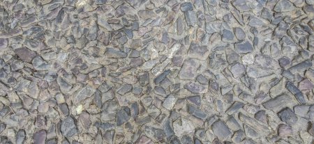 Photo for Cobblestone pavement made with quartzite undevastated stones. Monumental Complex road surfaces, Caceres, Spain - Royalty Free Image