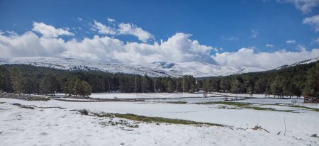 Landscape of snowy meadows in the Sierra de Gredos. Hoyos del Espino, Castile and Leon, Avila, Spain