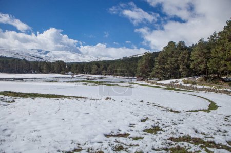 Paysage de prairies enneigées dans la Sierra de Gredos. Hoyos del Espino, Castille et Léon, Avila, Espagne
