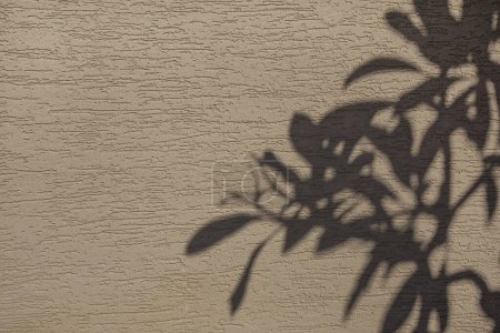 Foto de The shadow of a tree branch falls on a decoratively plastered wall - Imagen libre de derechos