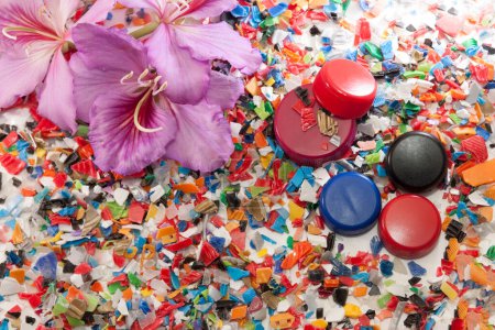 Foto de Fondo de tapas trituradas de diferentes colores de botellas de plástico y una flor fresca - Imagen libre de derechos