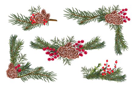 Christmas and New Year's botanical compositions. Winter decor. Branches, red berries, cones and leaves.