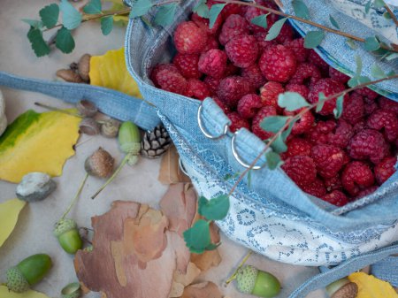 Jeans bag full of fresh juicy raspberries covered by a green branch and autumn background with green acorns, yellow leaves and tree bark pieces.