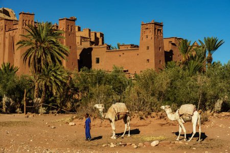 Foto de North Africa. Morocco. Ksar Ait Benhaddou in the Atlas Mountains of Morocco. UNESCO World Heritage Site since 1987. The Kasbah. Camels in front of the village of Ait Benhaddou - Imagen libre de derechos