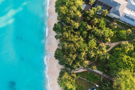 Photo for Aerial View Of Tropical Beach With Indian Ocean And Palm Trees - Royalty Free Image