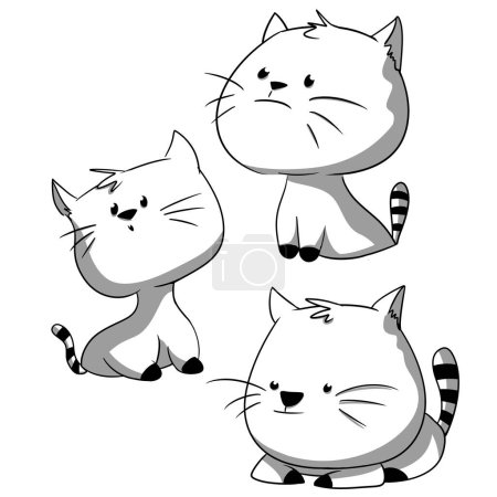 illustration of a cute fat cat pictures 