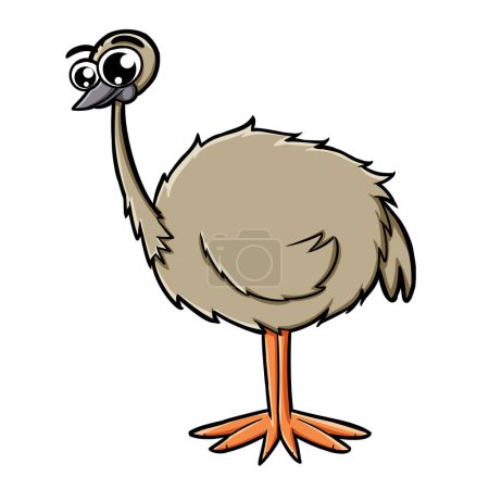 illustration of a cute baby bird emu bigeye