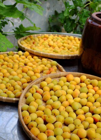Group of basket fresh yellow ripe apricot, a tropical fruit at Vietnam North rich vitamin, nature medicine and good for health