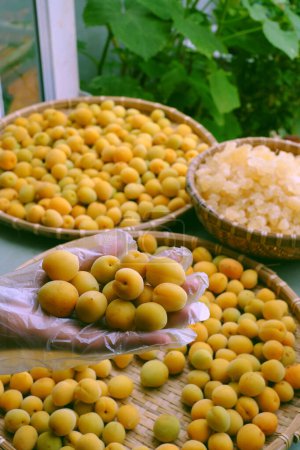 Matière première pour faire de délicieuses boissons à base d'abricot ou de prune japonaise avec du sucre, fruits de saison qui sont bons pour la santé, la nutrition, riche en vitamines