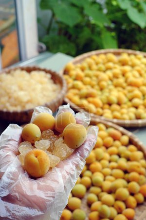 Matière première pour faire de délicieuses boissons à base d'abricot ou de prune japonaise avec du sucre, fruits de saison qui sont bons pour la santé, la nutrition, riche en vitamines