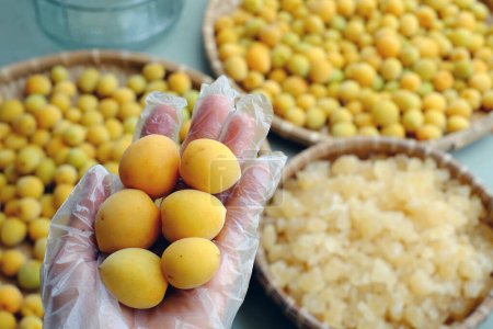 Raw material for making delicious beverage from apricot or Japanese plum with sugar, seasonal fruit that good for health, nutrition, rich vitamin
