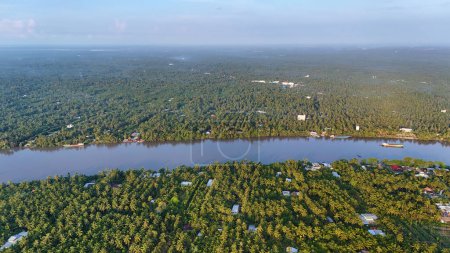 Schöne Luftaufnahme der Landschaft des Mekong-Deltas, Kokosnussland mit riesigen Kokosnüssen, Nipa-Palmendschungel, Haus am Fluss und Wasserstraßen Transport gut für Vietnam Ökotourismus bei Ben Tr