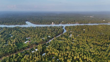 Beautiful aerial view of Mekong Delta countryside, coconut land with vast coconut, nipa palm jungle, riverside house and waterway transport good for Vietnam ecotourism at Ben Tr