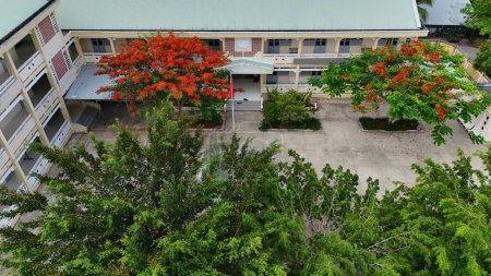 Increíble paisaje de la aldea del delta del Mekong, campus escolar con flores de fénix rojo flor de árbol vibrante, escuela secundaria entre el bosque de coco, extravagante es símbolo del verano y comenzar las vacaciones de verano