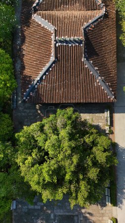 Téléchargez les photos : Vue aérienne du delta du Mékong, touriste Ben Tre avec un grand arbre ancien, une abricot ou une fleur de Bach Mai, un arbre patrimonial et une vieille maison au temple Phu Tu, une destination de voyage pour le Vietnam - en image libre de droit