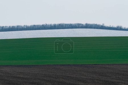 Téléchargez les photos : Paysage avec arbres et champs avec neige, plantes vertes et couleurs brunes naturelles - en image libre de droit