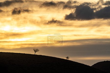 Téléchargez les photos : Lever de soleil nuageux sur la pente de la montagne avec des arbres - en image libre de droit