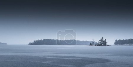 Foto de Vista panorámica y tranquila de los tranquilos árboles de lago y silueta contra el cielo despejado durante el atardecer - Imagen libre de derechos