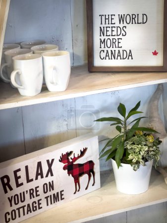 Foto de Primer plano de la planta en maceta con marcos textuales y tazas de café blanco dispuestos en estantes de madera en casa - Imagen libre de derechos