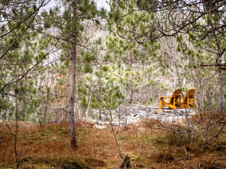 Foto de Sillas de madera vacías amarillas en formaciones rocosas en medio de exuberantes árboles que crecen en el bosque - Imagen libre de derechos
