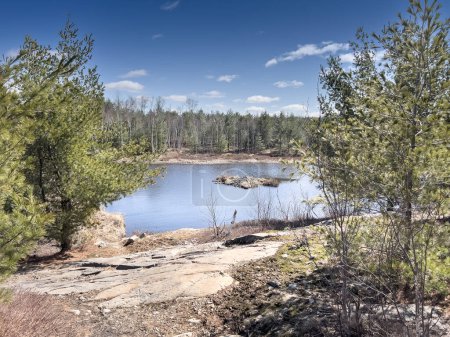 Foto de Vista panorámica del lago tranquilo rodeado de exuberantes árboles verdes que crecen en el bosque contra el cielo azul durante la temporada de verano - Imagen libre de derechos