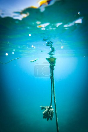 Foto de Cuerda larga atada a boya flotando bajo el agua en el mar - Imagen libre de derechos
