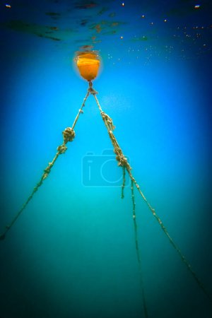 Foto de Boya atada con largas cuerdas flotando bajo el agua en un paisaje marino azul. - Imagen libre de derechos