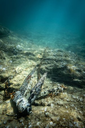 Foto de Primer plano del ancla oxidada y la cadena metálica dañada en el fondo del océano bajo el mar profundo - Imagen libre de derechos