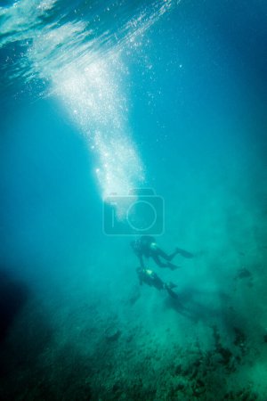 Foto de Hombre explorando el océano con hijo adolescente mientras bucea bajo el mar azul mientras disfruta de vacaciones - Imagen libre de derechos
