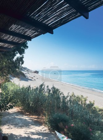 Foto de Vista tranquila de las plantas que crecen en la playa y el paisaje marino contra el cielo azul claro durante el día soleado - Imagen libre de derechos