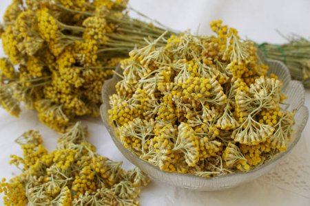 Foto de Brotes cosechados de immortelle amarillo floreciente preparados para la fabricación de cosméticos naturales e ingredientes medicinales - Imagen libre de derechos