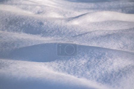 Textured fluffy snow in the mountain forest of the Carpathians