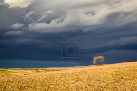 Foto de Paisaje primaveral de las montañas ante una tormenta - Imagen libre de derechos