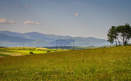 Spring landscape of the village in the valley of the Carpathian mountains