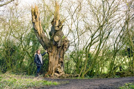 Foto de Capturar a una atractiva morena madura, parada junto a un árbol devastado por el tiempo, en Alfreton, Derbyshire. - Imagen libre de derechos