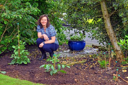 Eine fröhliche und attraktive Gärtnerin zeigt stolz den Unterschied zwischen Dahlien, die im Grünen gezüchtet und links verpflanzt werden, und Dahlien, die rechts aus dem Boden wachsen..