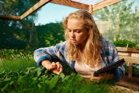 Téléchargez les photos : Jeune femme caucasienne en chemise à carreaux tenant tablette numérique tout en cueillant des plantes en pépinière - en image libre de droit