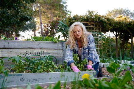 Téléchargez les photos : Jeune femme caucasienne portant chemise à carreaux et gants de jardin agenouillé pendant le jardinage dans le centre de jardin - en image libre de droit