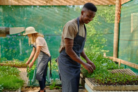 Téléchargez les photos : Jeune couple multiracial portant des tabliers souriant dos à dos pendant le jardinage en pépinière - en image libre de droit