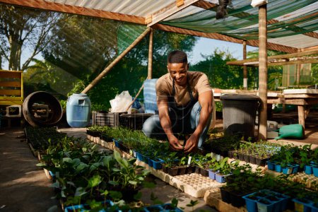 Téléchargez les photos : Young black man in apron crouching and smiling while picking plants in plant nursery - en image libre de droit