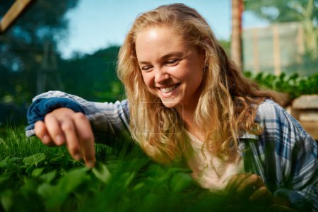Téléchargez les photos : Happy young caucasian woman smiling while picking plants in plant nursery - en image libre de droit