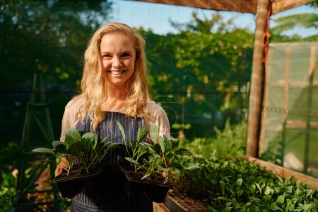 Téléchargez les photos : Portrait of young caucasian woman in apron looking at camera and holding plants in trays at plant nursery - en image libre de droit
