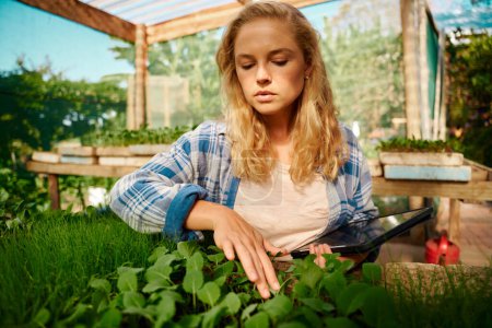 Foto de Young caucasian woman in checked shirt holding digital tablet while examining plants in plant nursery - Imagen libre de derechos